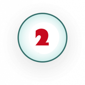 Tier 2